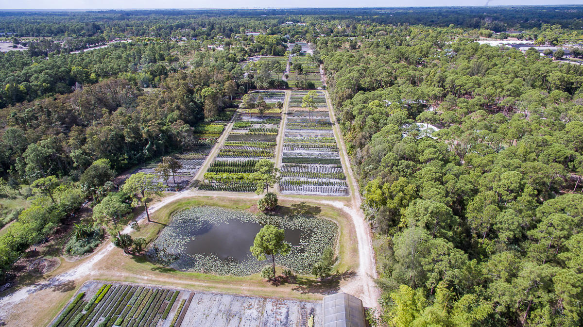 2209 E Road Loxahatchee, FL 33470 - Photo 11 of 19 DJI_0005-Edit