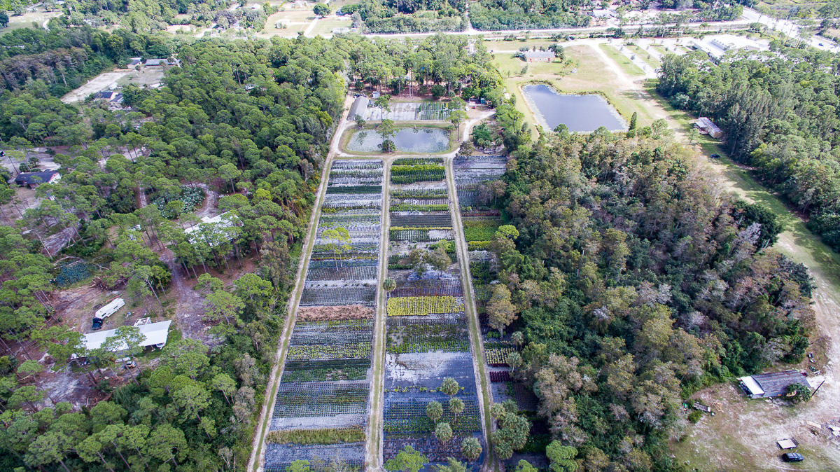 2209 E Road Loxahatchee, FL 33470 - Photo 15 of 19 DJI_0009