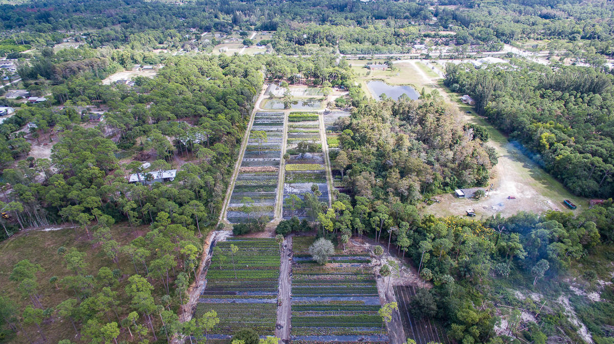 2209 E Road Loxahatchee, FL 33470 - Photo 16 of 19 DJI_0010