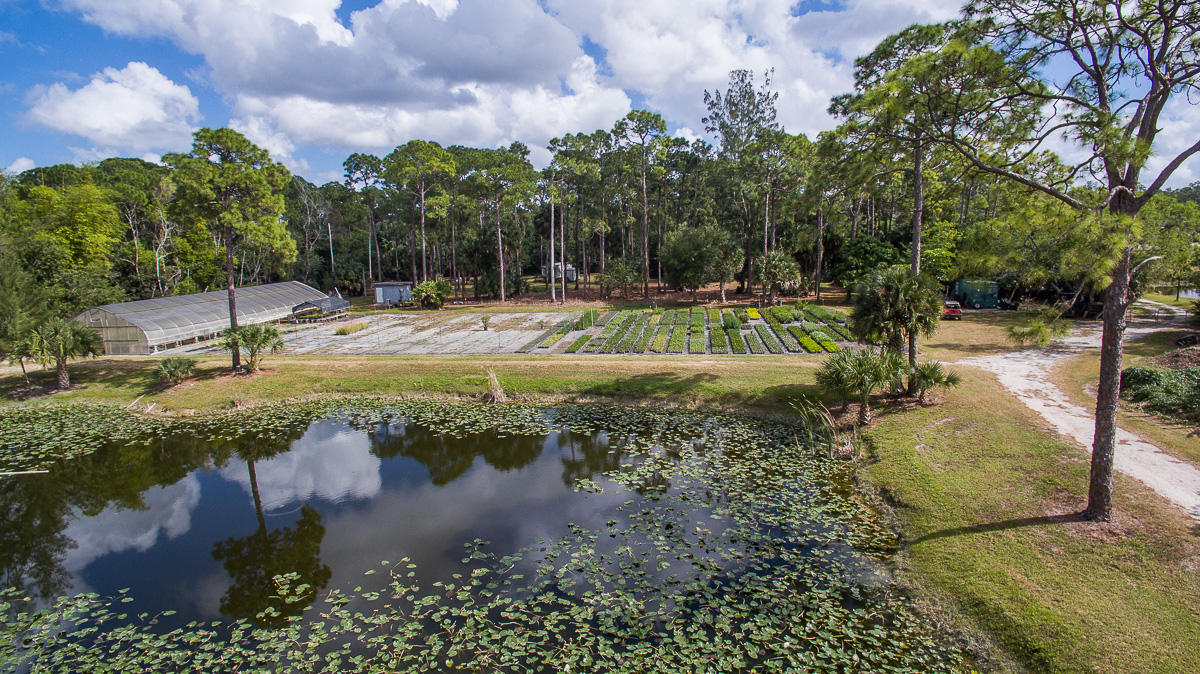 2209 E Road Loxahatchee, FL 33470 - Photo 17 of 19 DJI_0011