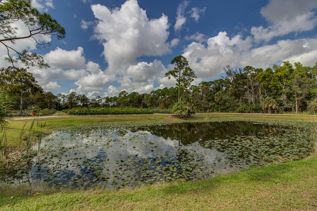 2209 E Road Loxahatchee, FL 33470 - Photo 18 of 19 qq-3