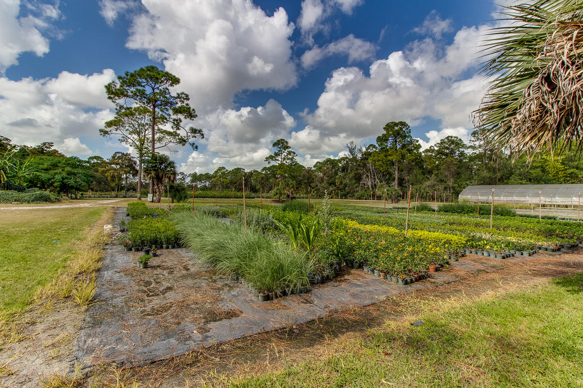 2209 E Road Loxahatchee, FL 33470 - Photo 2 of 19 qq-2