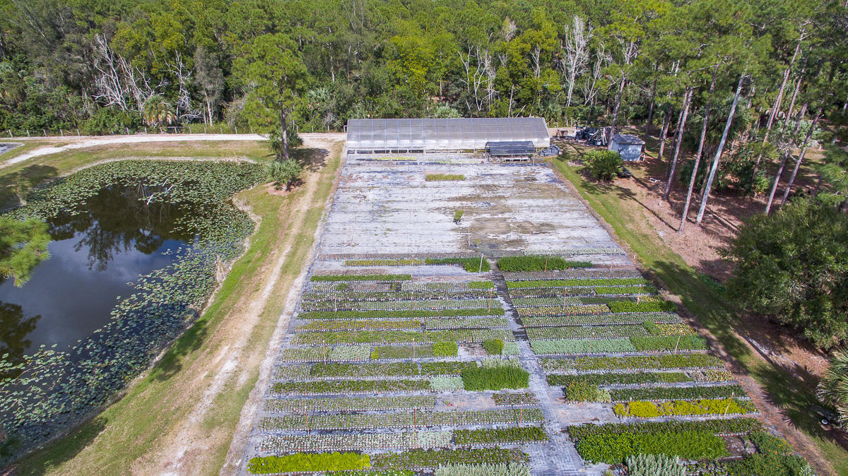 2209 E Road Loxahatchee, FL 33470 - Photo 9 of 19 DJI_0003