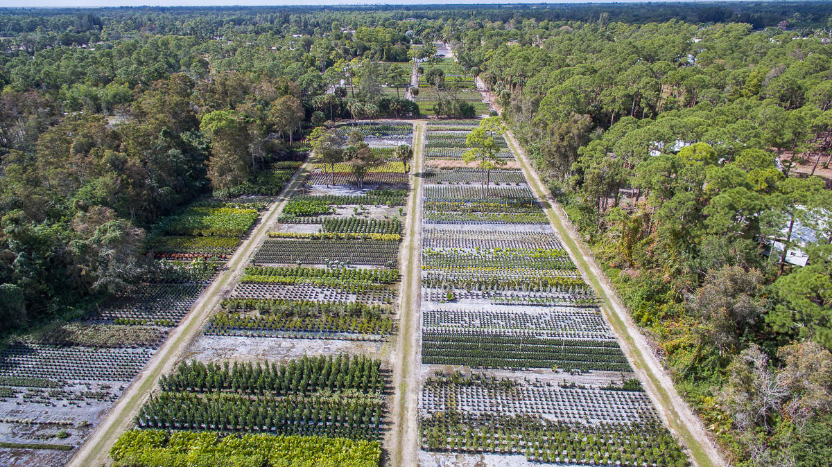 2209 E Road Loxahatchee, FL 33470 - Photo 10 of 19 DJI_0004