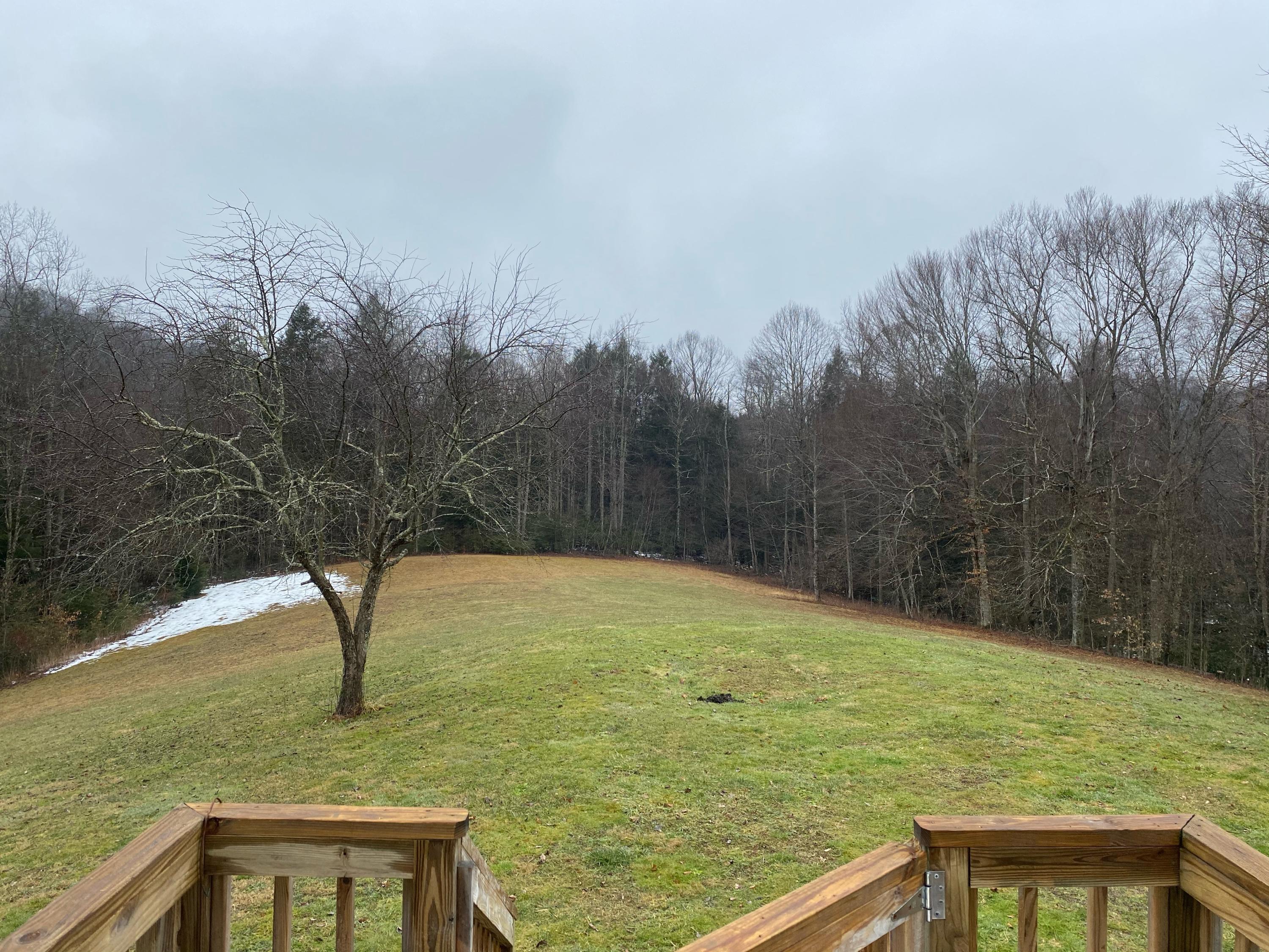 137 Lost Road Nettie, WV 26681 - Photo 35 of 39 Gallery Image 35