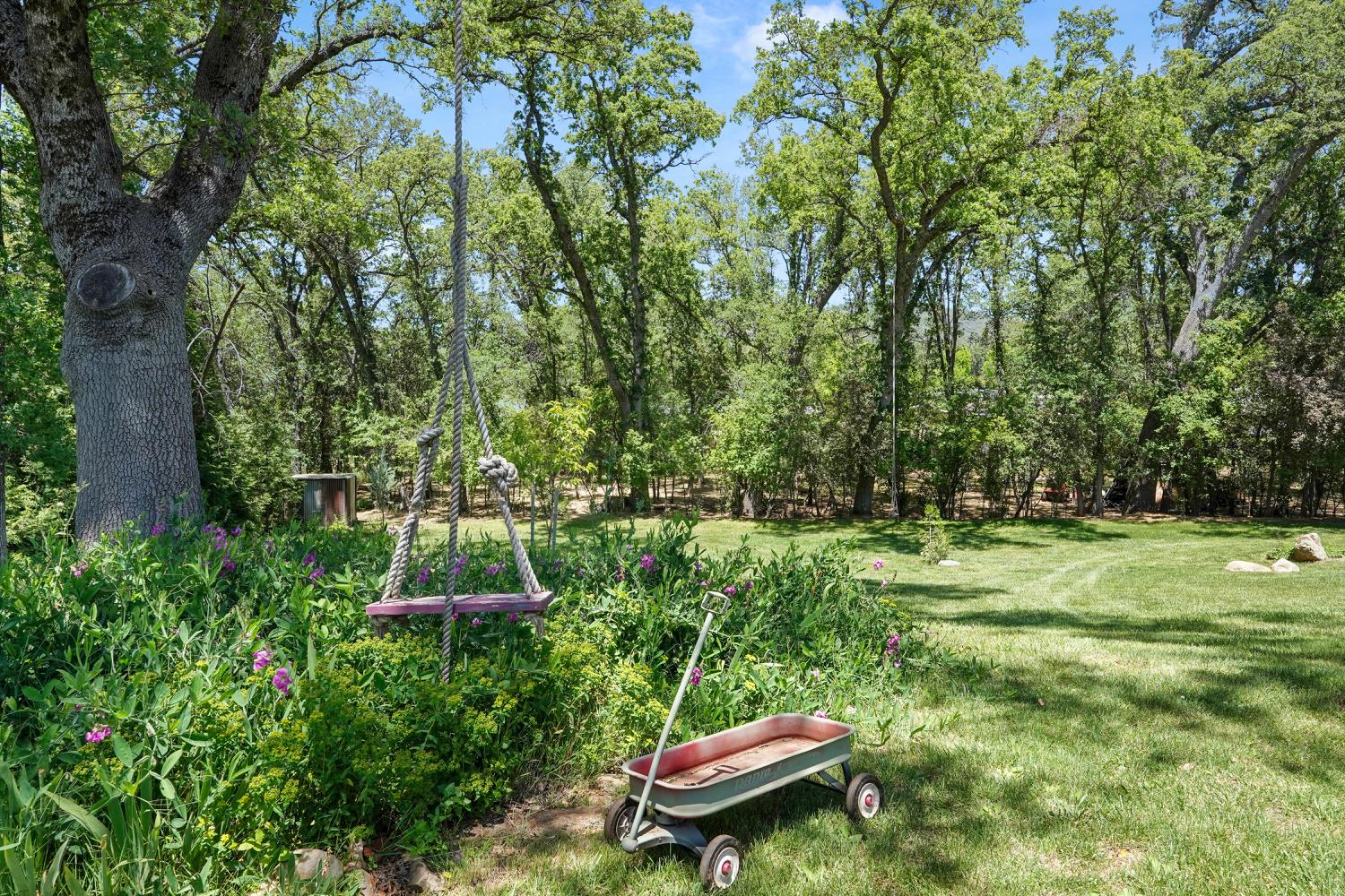 133 Mitchler Street Murphys, CA 95247 - Photo 17 of 74