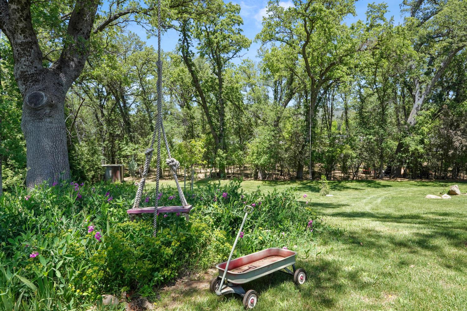 133 Mitchler Street Murphys, CA 95247 - Photo 87 of 91