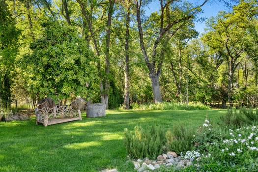 133 Mitchler Street Murphys, CA 95247 - Photo 10 of 91