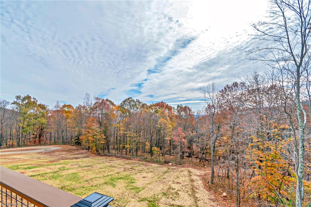 638 Falcon Ridge Drive Moravian Falls, NC 28654 - Photo 23 of 49