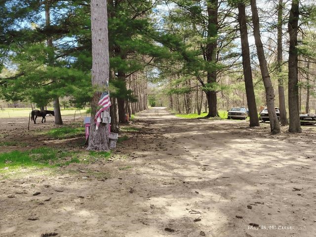 6230 Shellenbarger Road Hale, MI 48739 - Photo 18 of 46