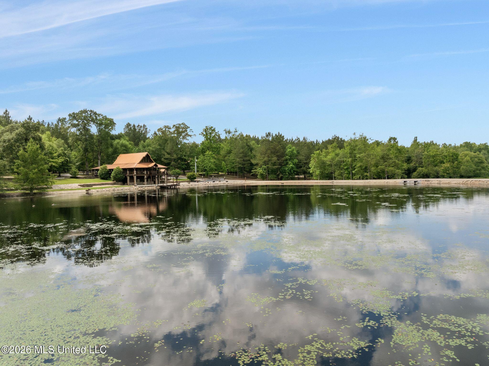 115 North Slade Road Sumrall, MS 39482 - Photo 7 of 86 115_North_Slade_Road-7