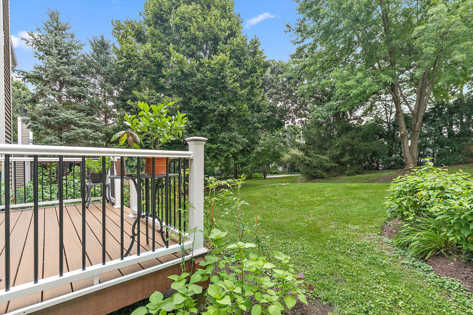 806 Viewpointe Drive St. Charles, IL 60174 - Photo 40 of 46 a view of backyard with green space