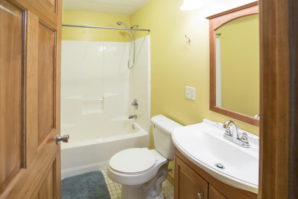 1717 Harrah Road Niles, MI 49120 - Photo 55 of 73 Finished Walkout Lower Level Bathroom
