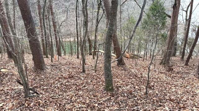 0 Pearson Road, Unit TRACT 2 Harrison, TN 37341 - Photo 5 of 7 IMG_T2