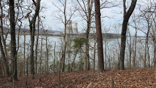0 Pearson Road, Unit TRACT 2 Harrison, TN 37341 - Photo 6 of 7 IMG_T2 4