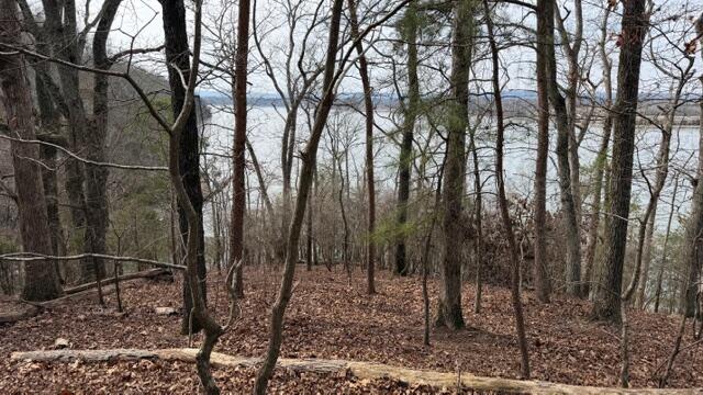 0 Pearson Road, Unit TRACT 2 Harrison, TN 37341 - Photo 7 of 7 IMG_T2 2