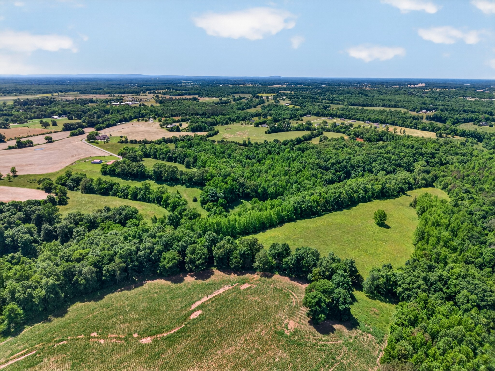 37 Old McLemore Road Taft, TN 38488 - Photo 15 of 57