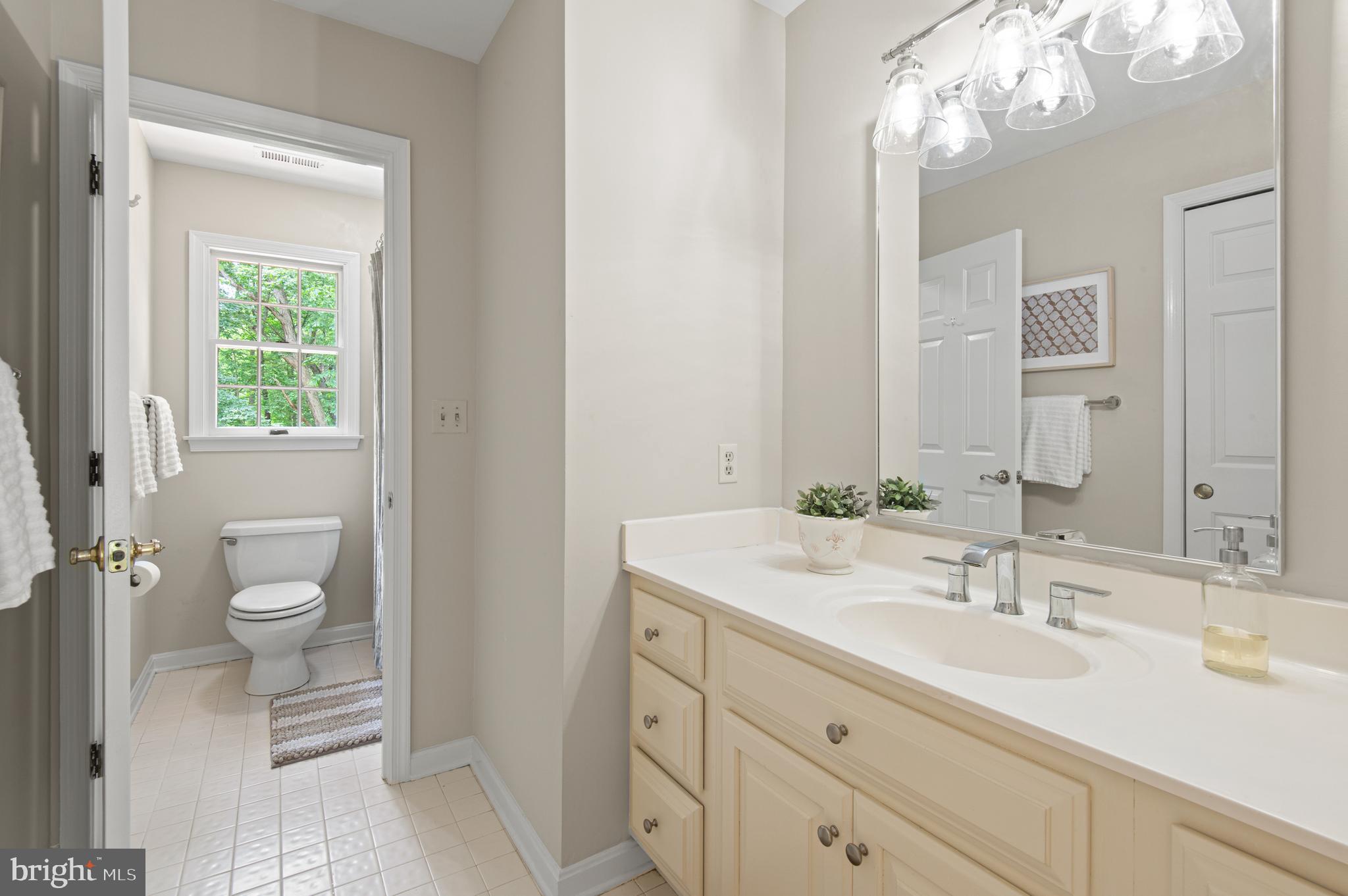 8 Henderson Hill Court Monkton, MD 21111 - Photo 31 of 55 a bathroom with a sink a toilet and a mirror