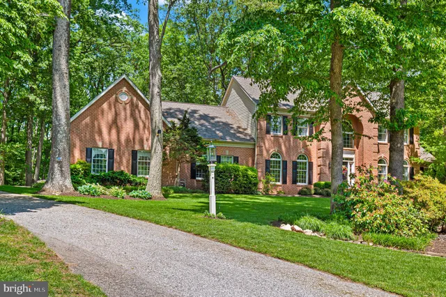 a view of a garden with flowers and trees