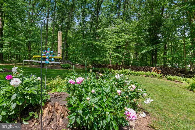 a view of a bench in the garden