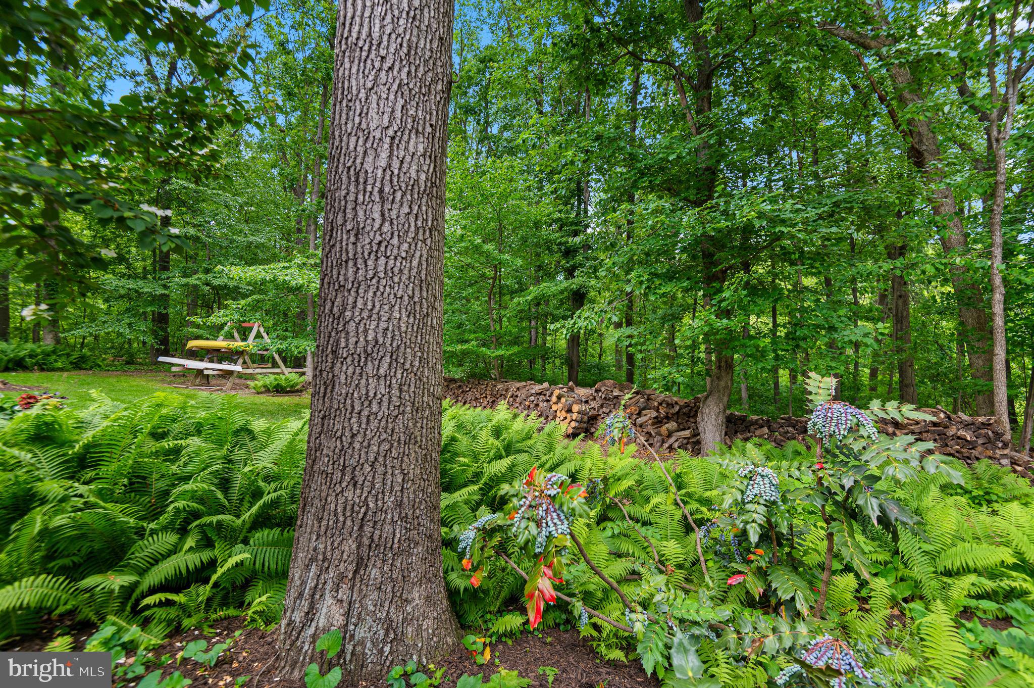 8 Henderson Hill Court Monkton, MD 21111 - Photo 49 of 55 a view of a garden with plants