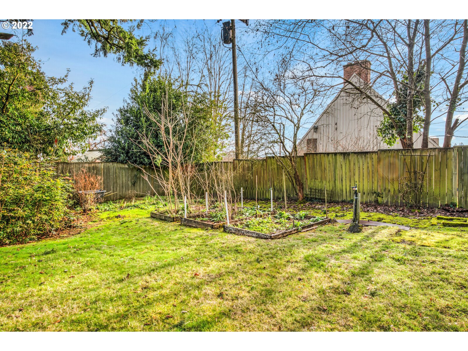 3330 Southwest Primrose Street Portland, OR 97219 - Photo 25 of 26 a view of a backyard with palm tree