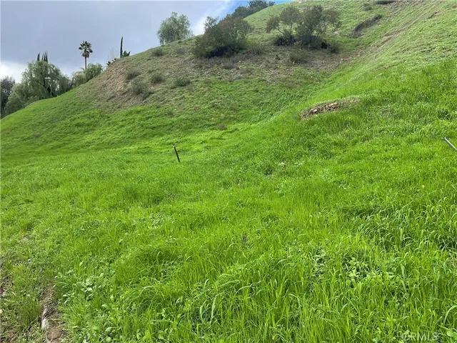 a view of a field of grass and trees