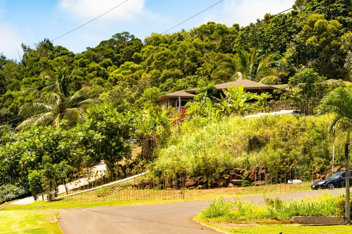 2435 Waipuna Road, Unit 12 Lihue, HI 96766 - Photo 1 of 27 a view of yard with large trees