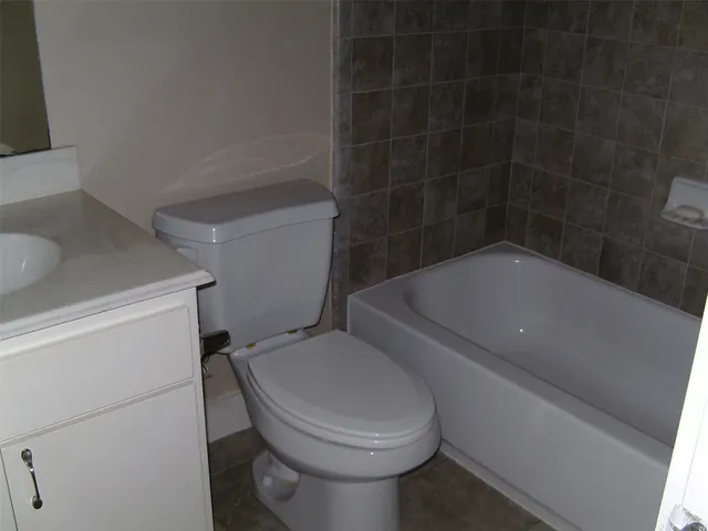 a white toilet sitting next to a bath tub