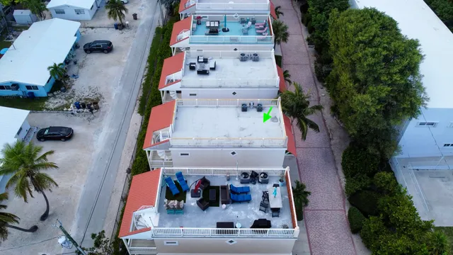 a backyard of a house with barbeque oven and palm trees