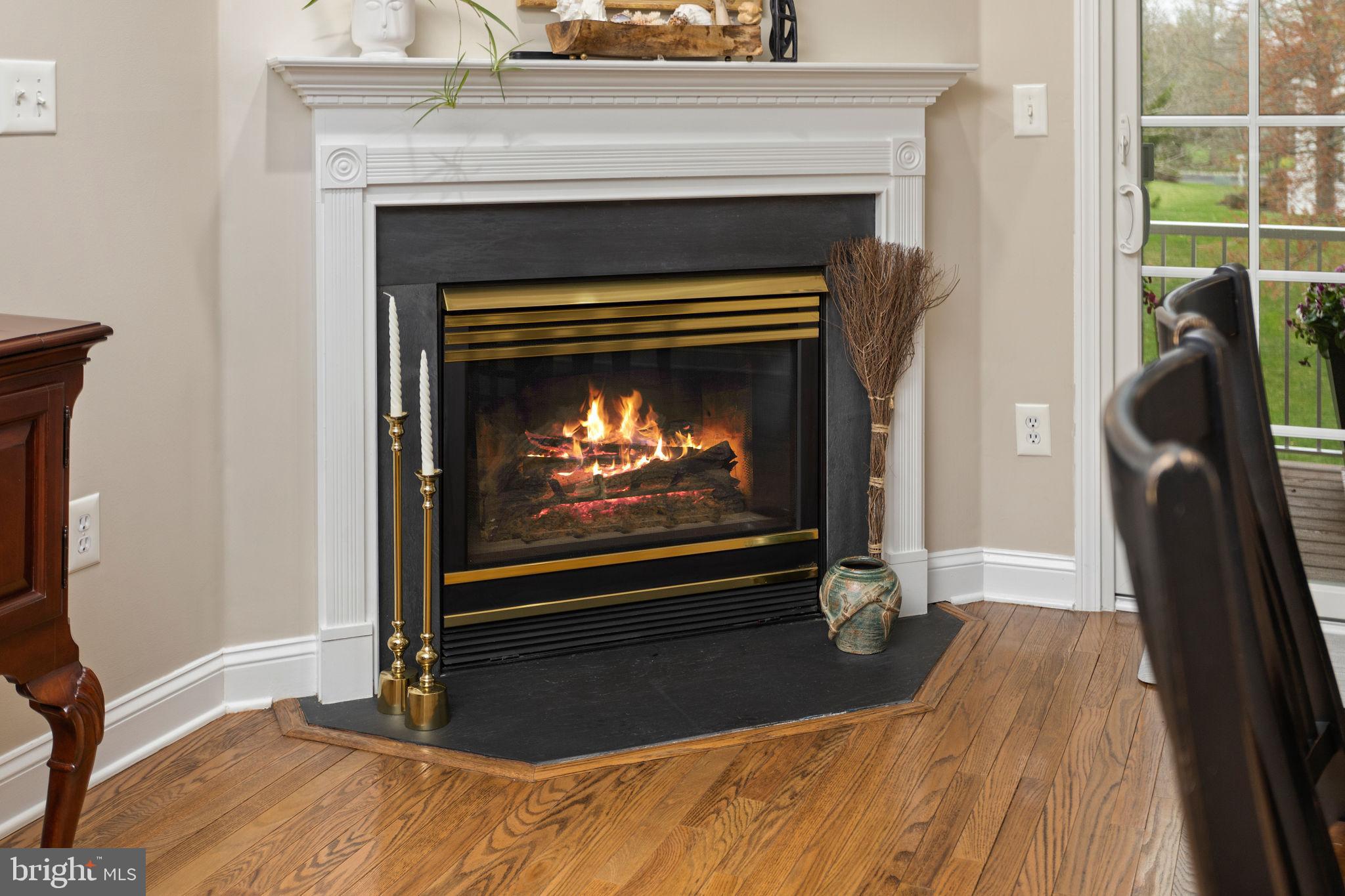 243 Colt Street Pennington, NJ 08534 - Photo 16 of 46 a living room with a fireplace and a floor to ceiling window