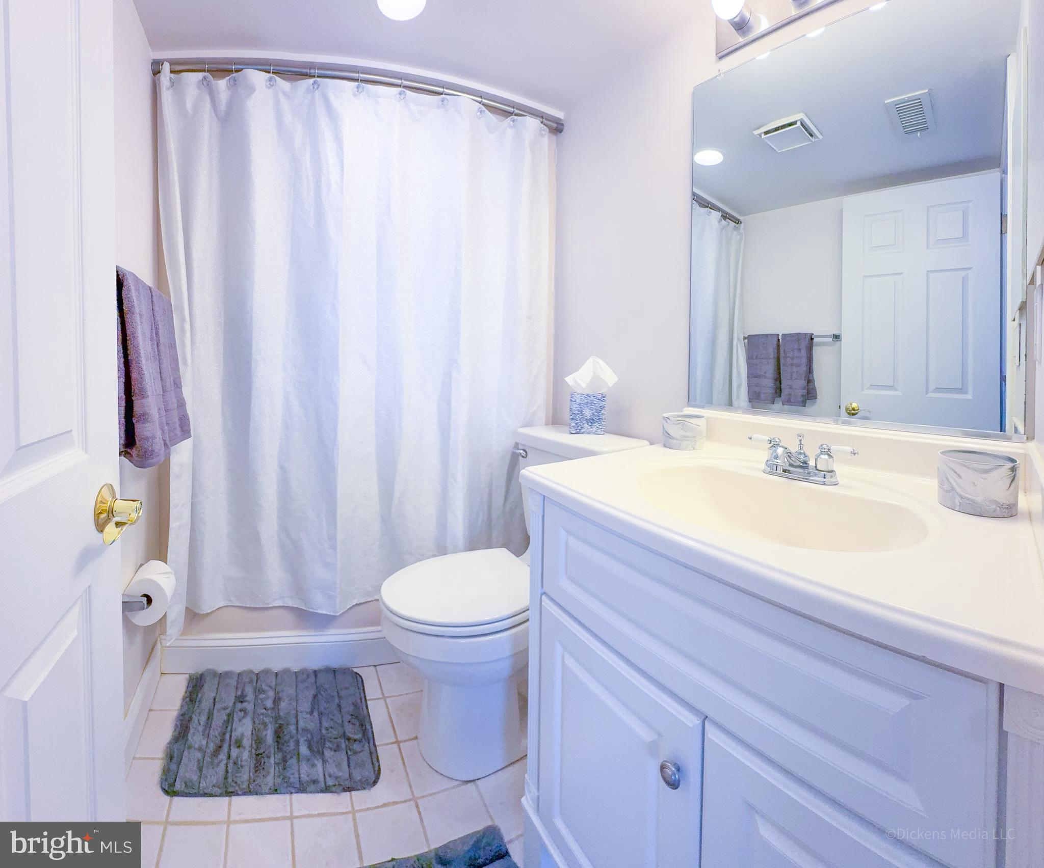 15 Queen Anne Way, Unit E Chester, MD 21619 - Photo 12 of 18 a bathroom with a sink a toilet and shower curtain