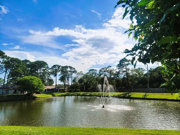 a view of a swimming pool with a yard