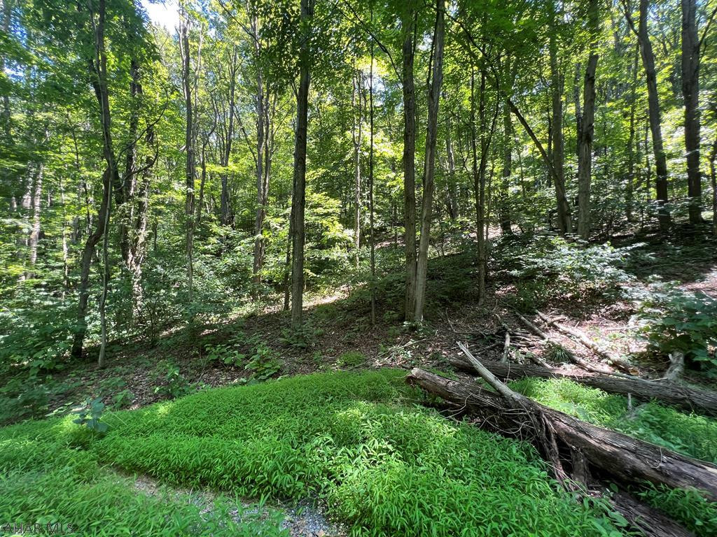 785 Paw Paw Road East Freedom, PA 16637 - Photo 1 of 5 Gallery Image 1