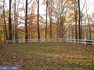 1456 Hollow Road Chester Springs, PA 19425 - Photo 6 of 6