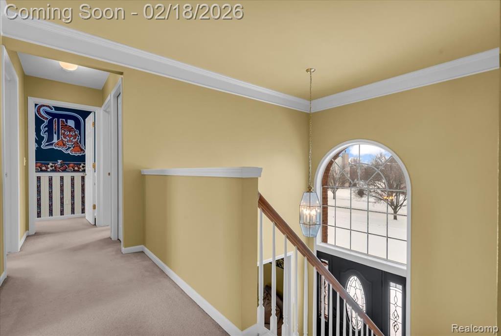 379 Springfield Drive Canton, MI 48188 - Photo 19 of 53 Gallery Image 19