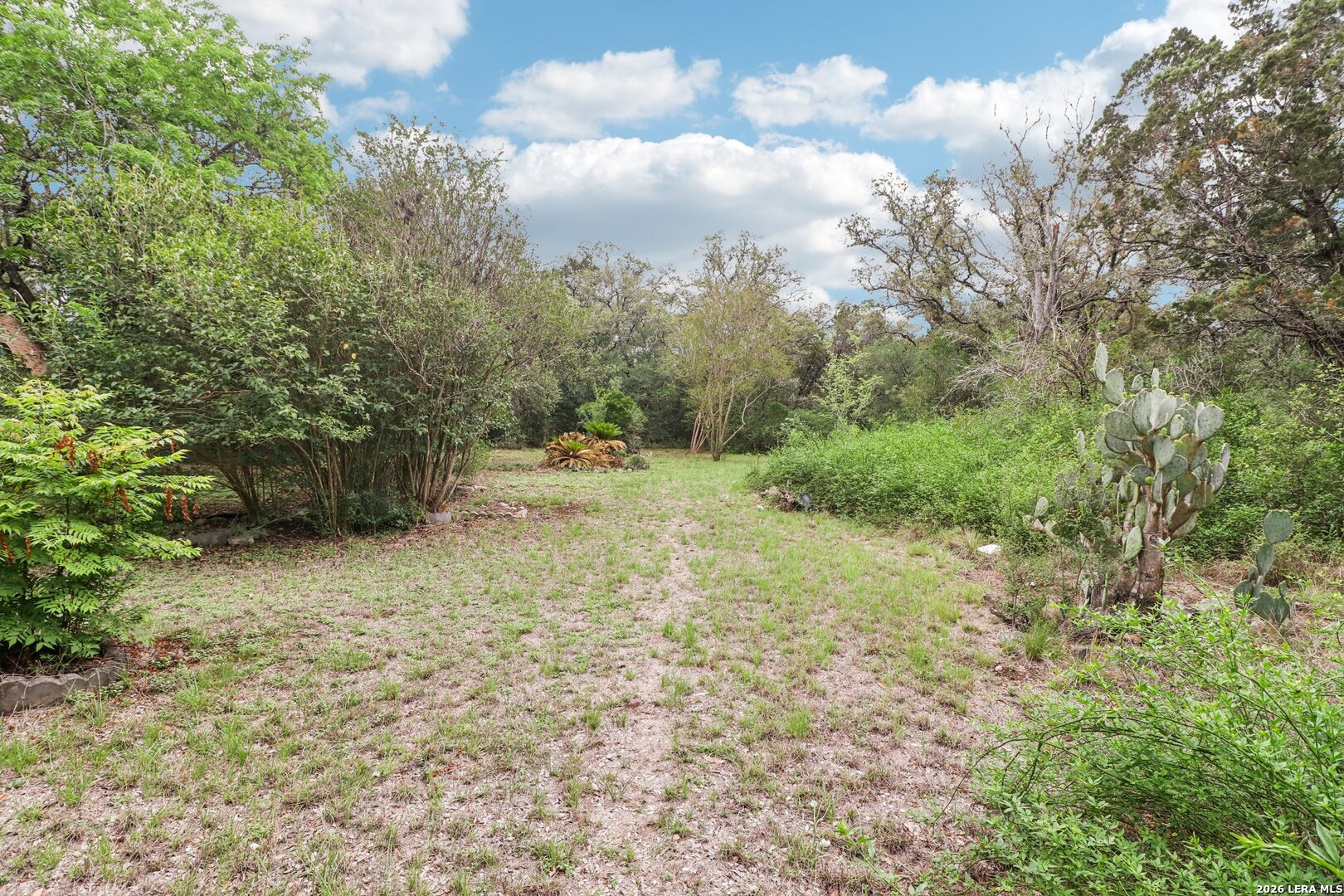 10902 Mesquite Flat Helotes, TX 78023 - Photo 29 of 50