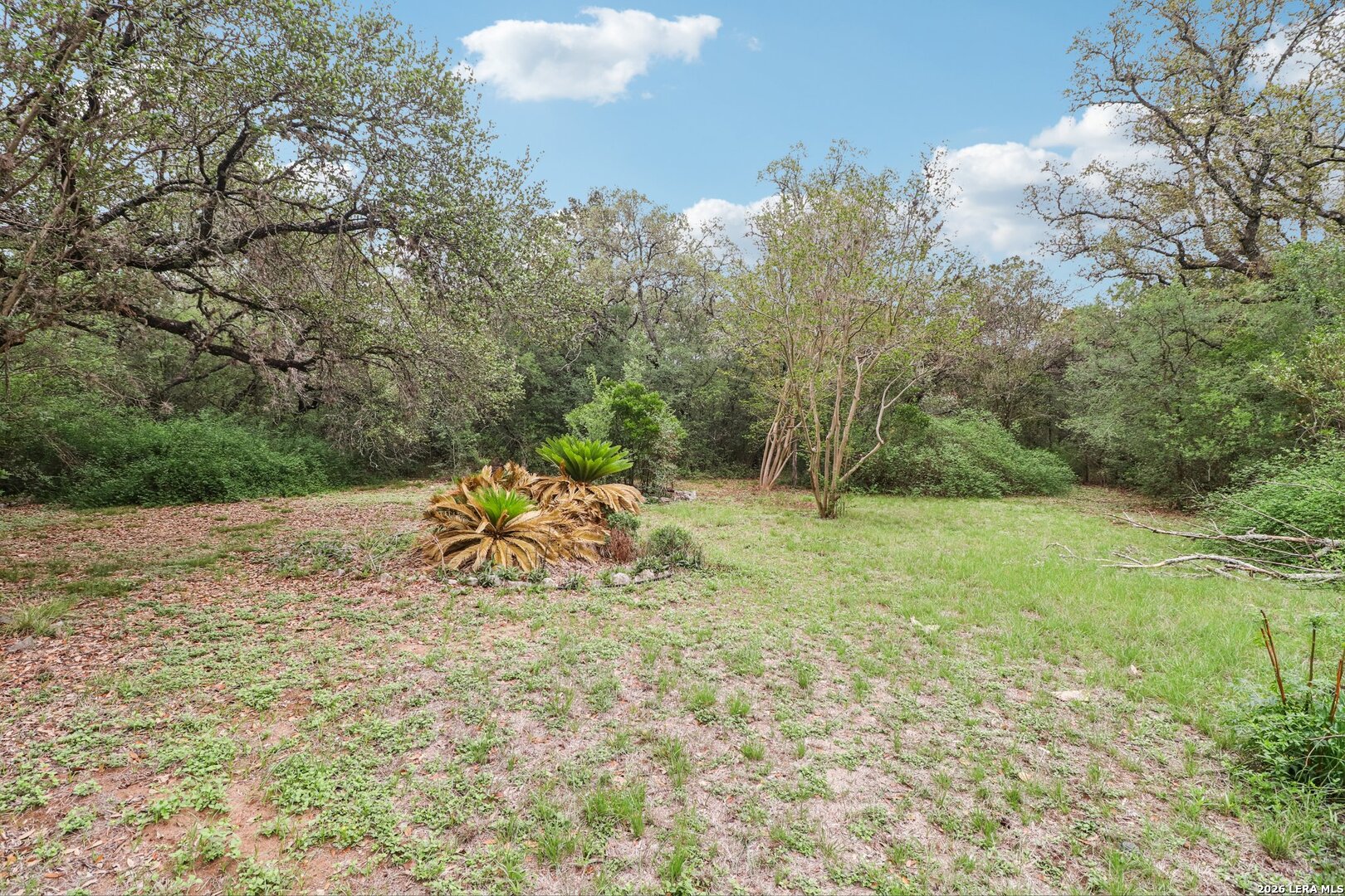 10902 Mesquite Flat Helotes, TX 78023 - Photo 32 of 50