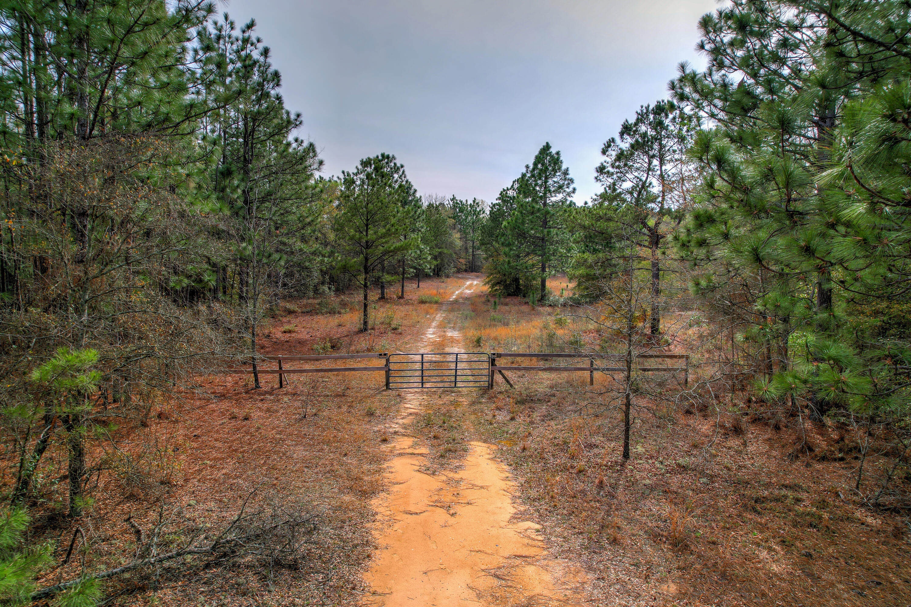11-acres North 11-acres N Windsor Road Windsor, SC 29856 - Photo 1 of 16