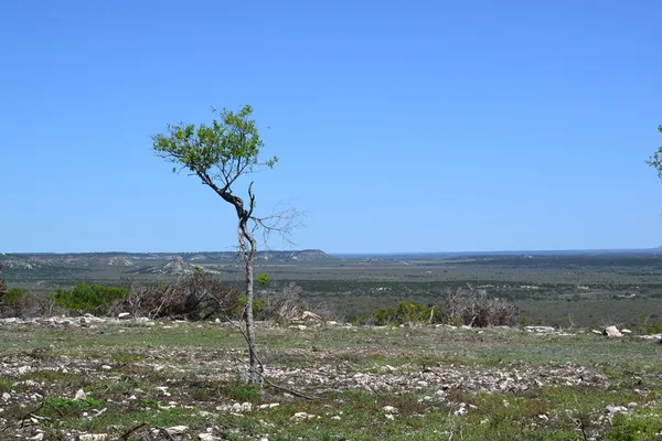 a view of city and ocean