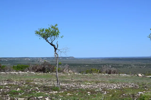 $550,000 | 1167 Kc 311, Junction, TX 76849