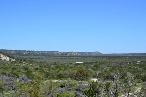 a view of a large body of water with lots of bushes