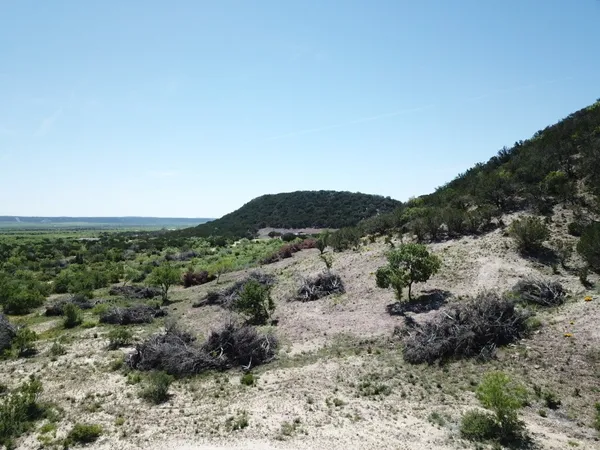 a view of a big yard