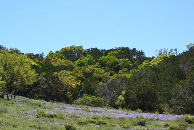 $550,000 | 1167 Kc 311, Junction, TX 76849