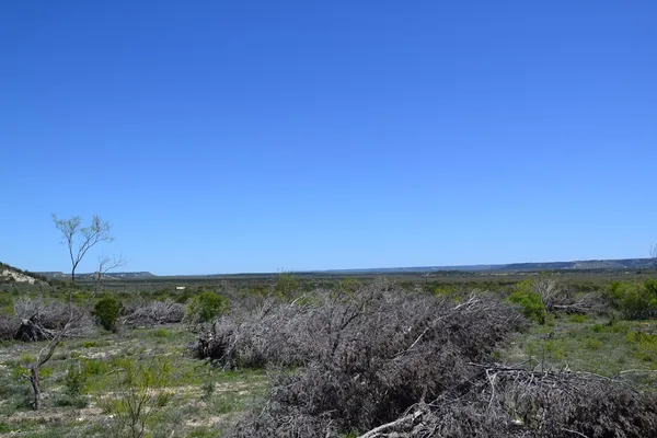 a view of a field with an ocean