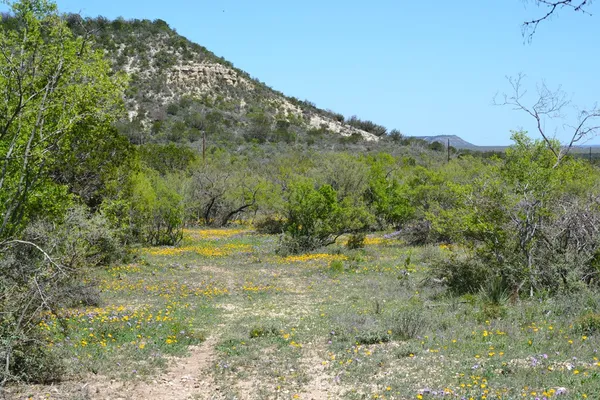 $550,000 | 1167 Kc 311, Junction, TX 76849