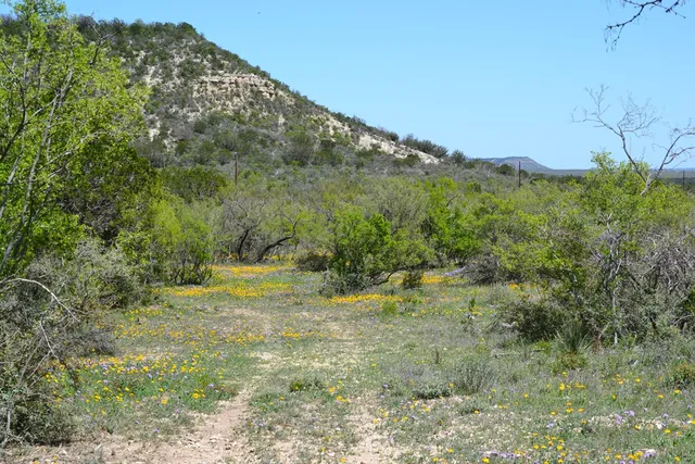 $550,000 | 1167 Kc 311, Junction, TX 76849