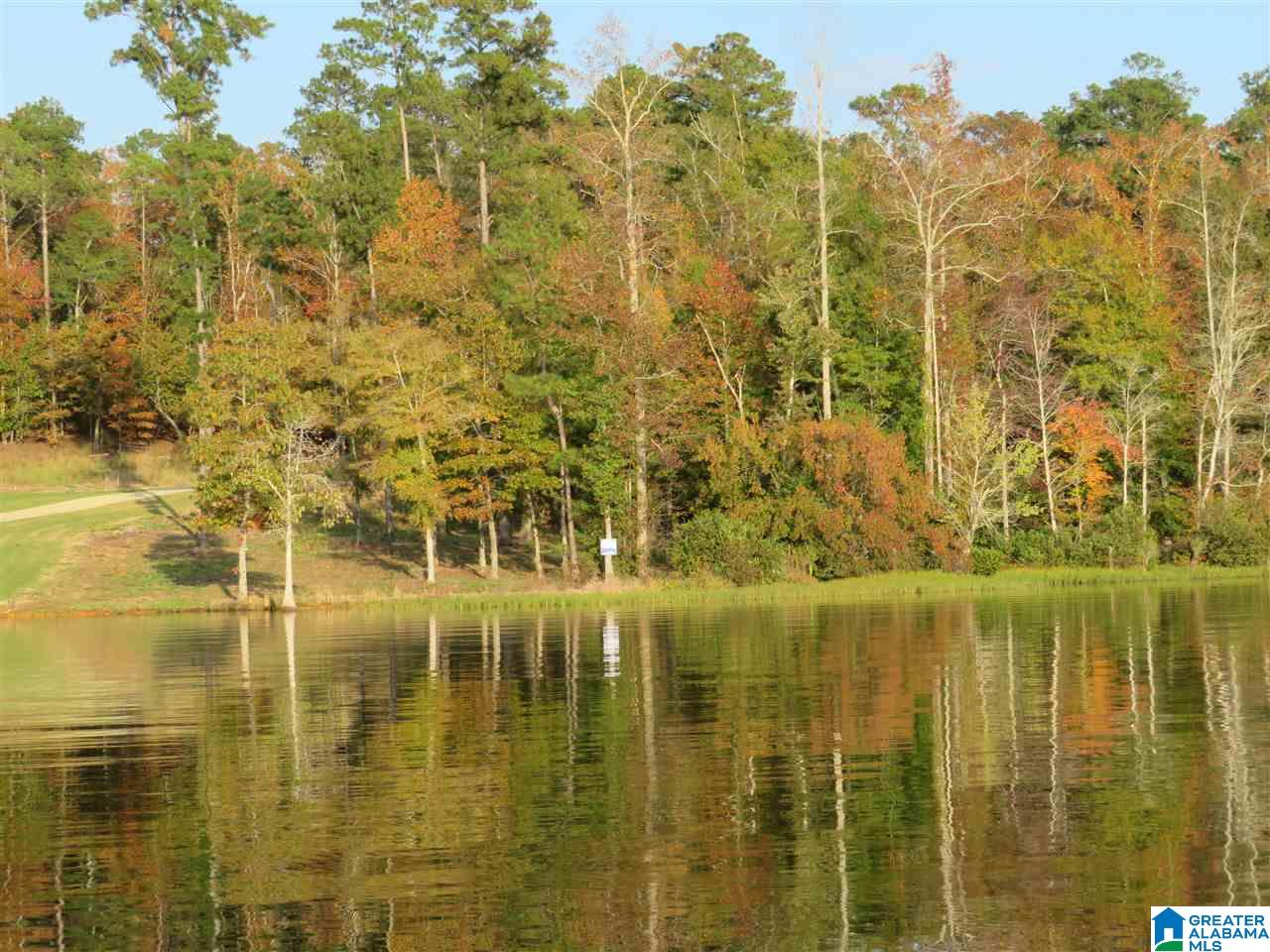 Lot 11 Eagle Mountain Road, Unit 11 Alexander City, AL 35010 - Photo 9 of 11