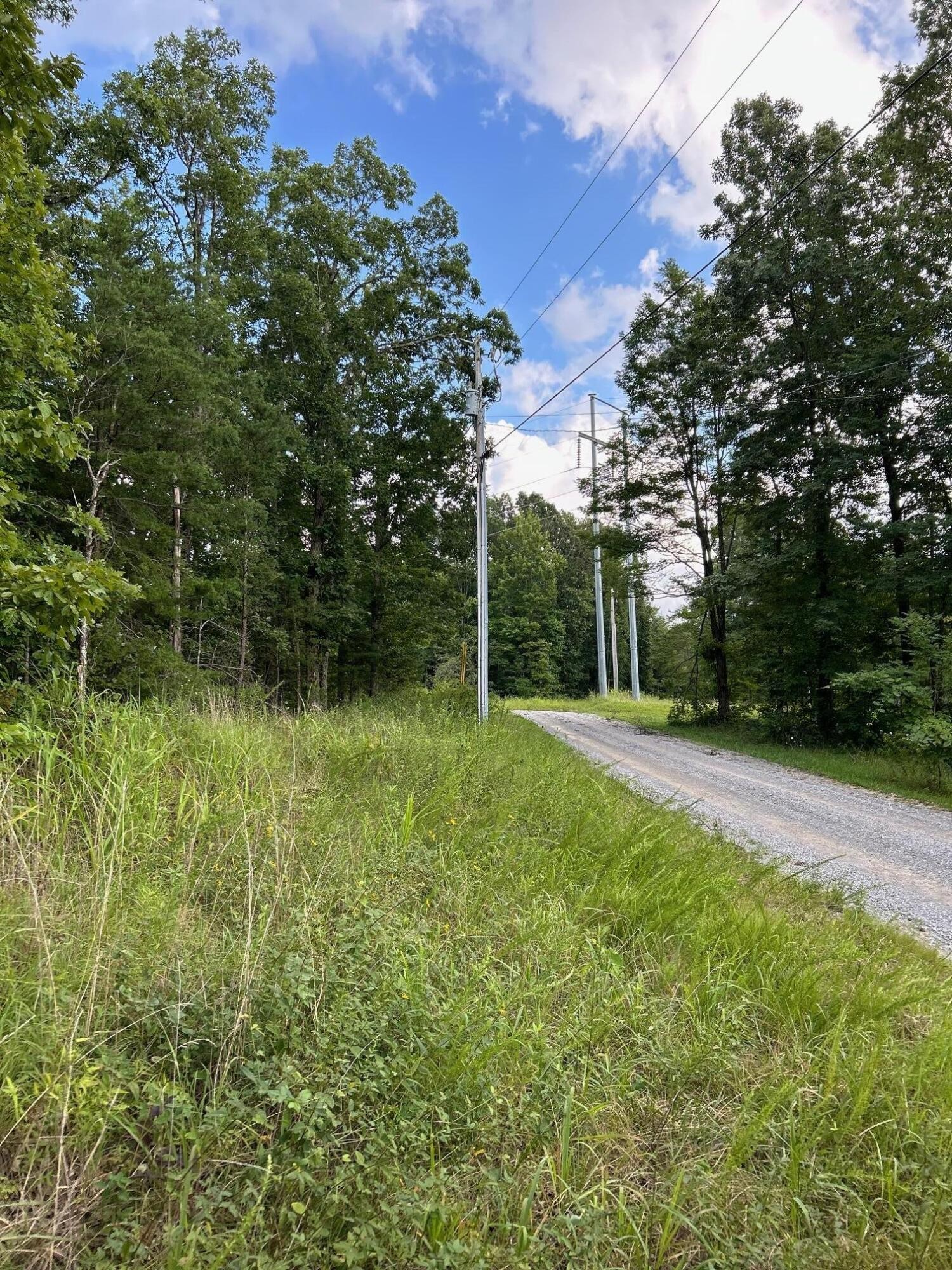 16 Raccoon Ridge Road Spring City, TN 37381 - Photo 2 of 12