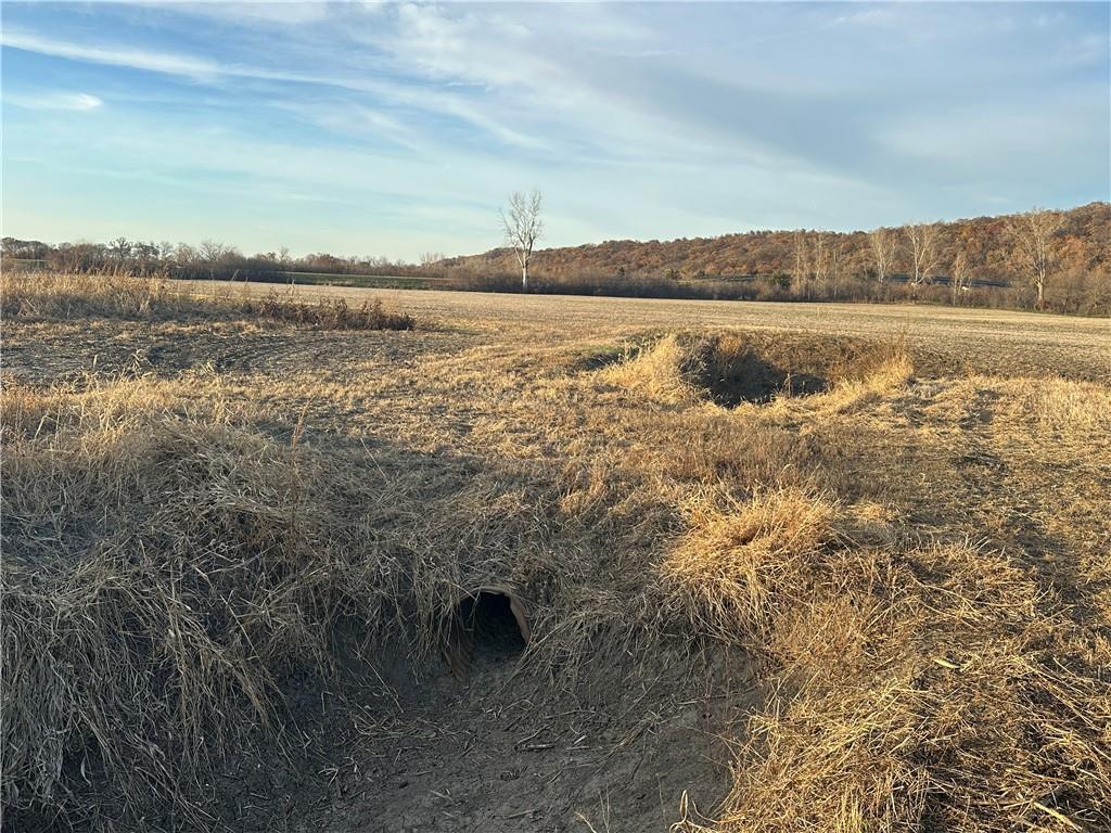 Beagle Road Craig, MO 64437 - Photo 23 of 30